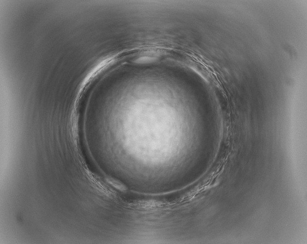 X0000116490197200912091427