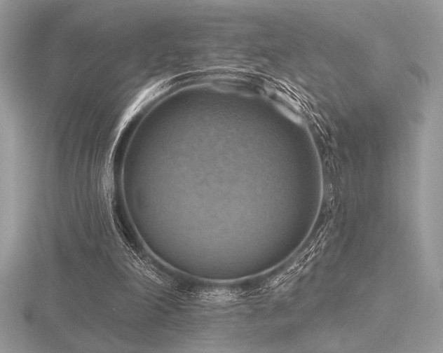 X0000116490198200912091427