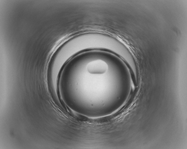 X0000116490199200912091427