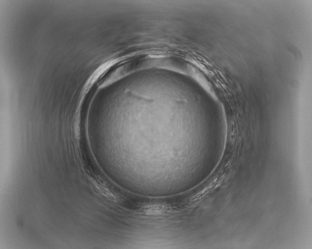 X0000116490200200912091427