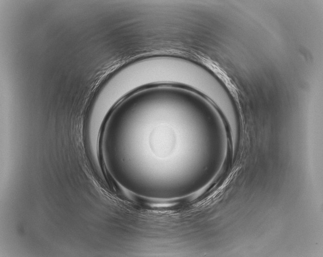 X0000116490201200912091427