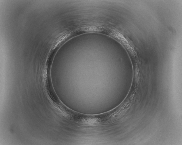 X0000116490202200912091427