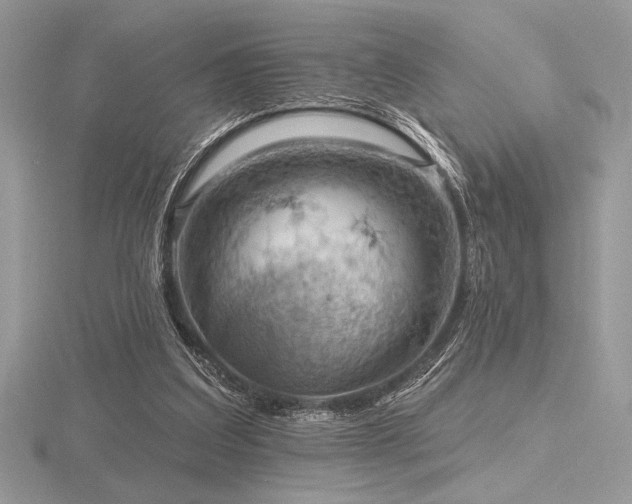 X0000116490203200912091427