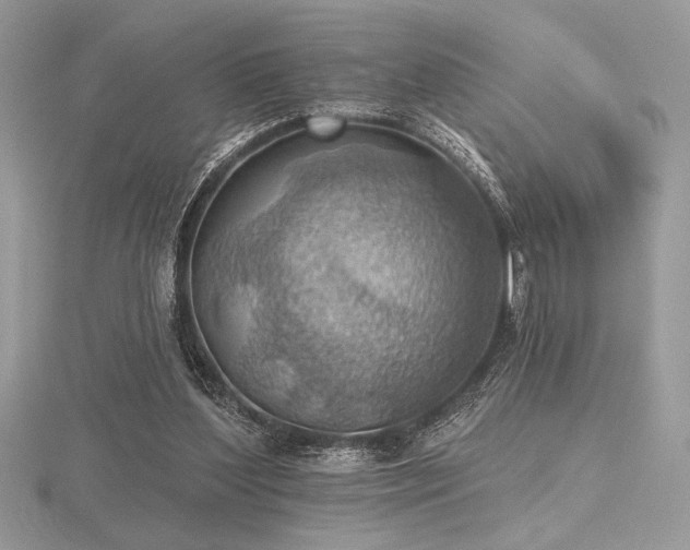 X0000116490204200912091427