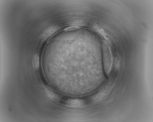 X0000116490205200912091427