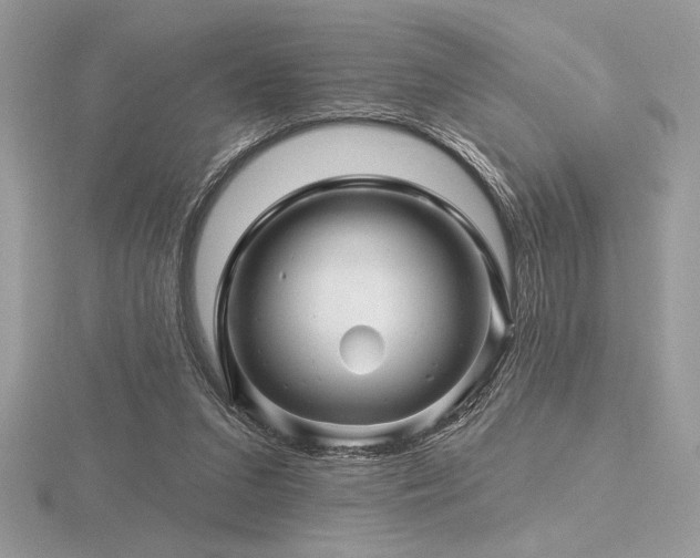 X0000116490207200912091427