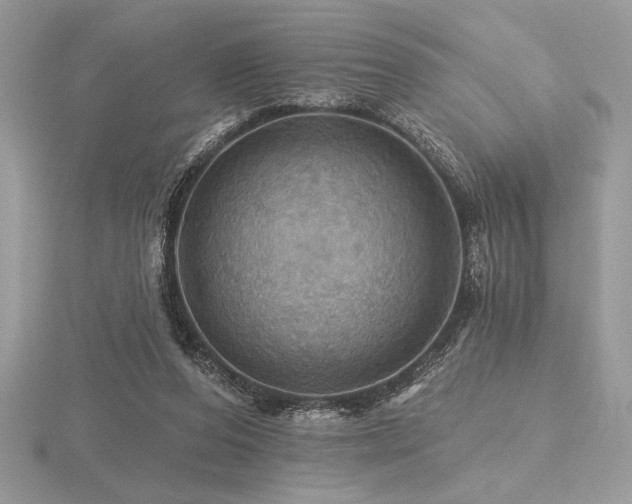 X0000116490208200912091427