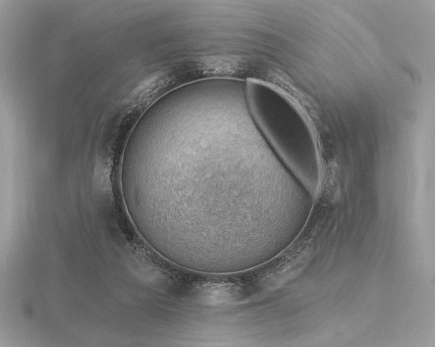 X0000116490209200912091427