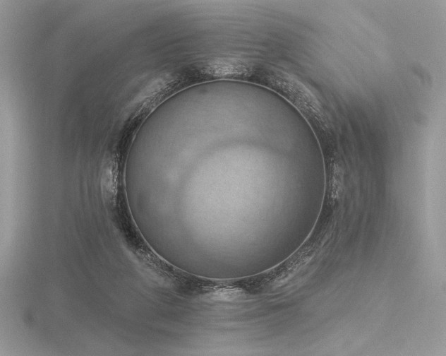 X0000116490210200912091427