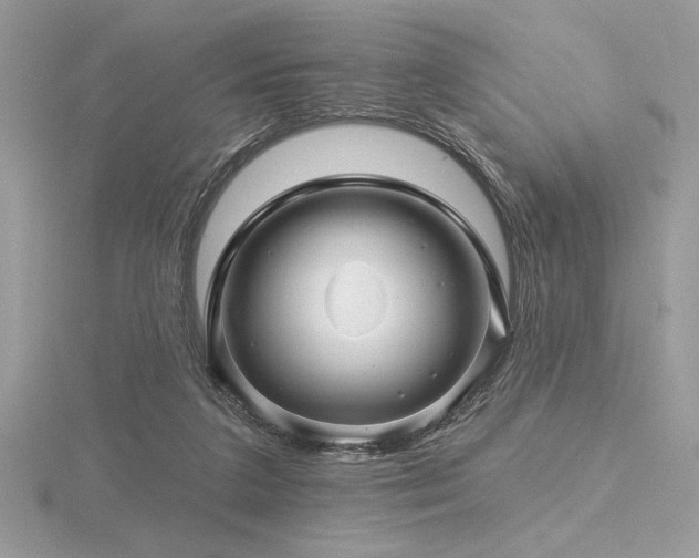 X0000116490211200912091427