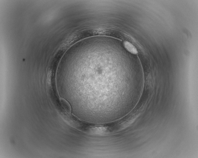 X0000116490217200912091427