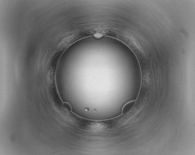 X0000116490218200912091427