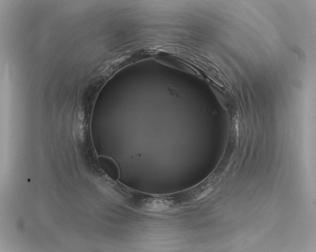 X0000116490223200912091427