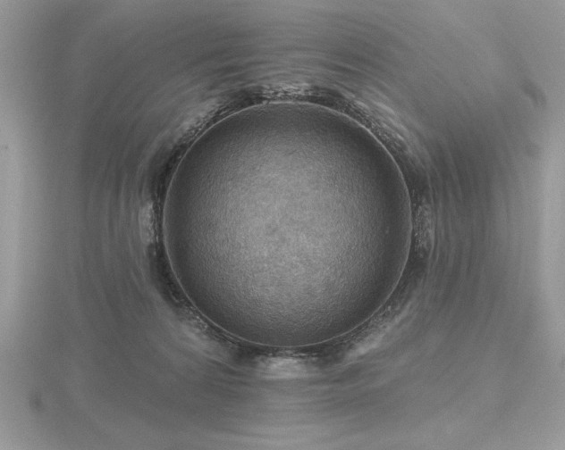 X0000116490224200912091427