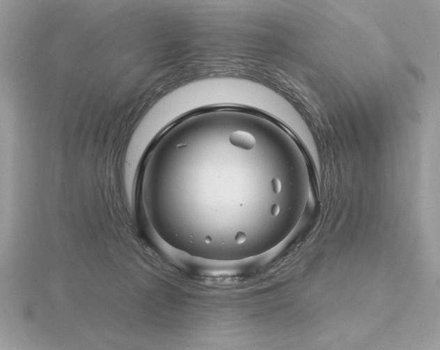 X0000116490225200912091427