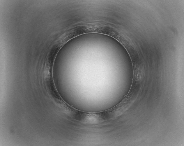 X0000116490226200912091427