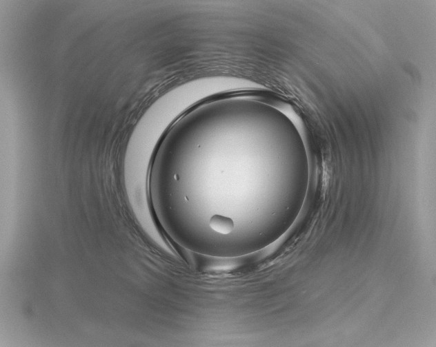 X0000116490229200912091427