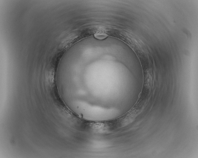 X0000116490230200912091427