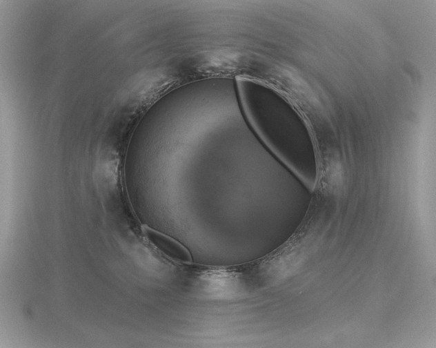 X0000116490231200912091427