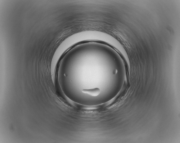 X0000116490237200912091427