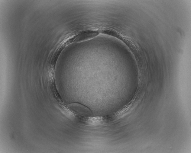 X0000116490240200912091427