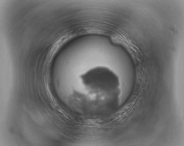 X0000116490241200912091426