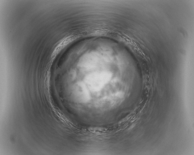 X0000116490242200912091426