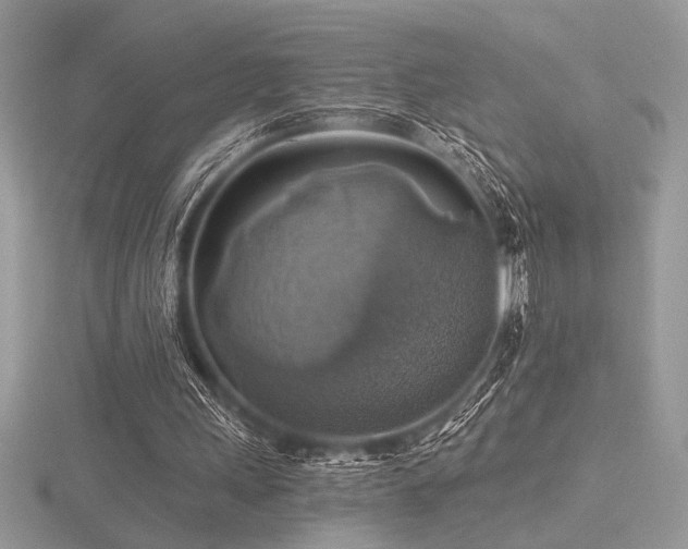 X0000116490243200912091426