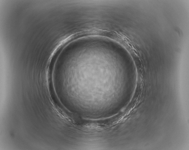 X0000116490244200912091426