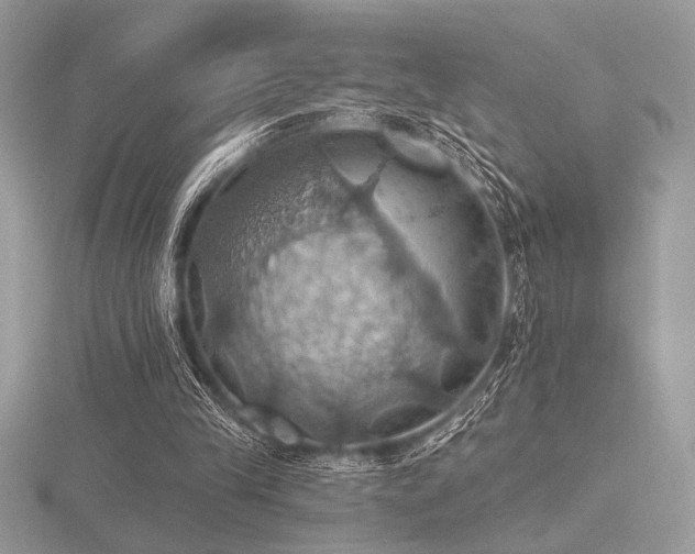 X0000116490245200912091426