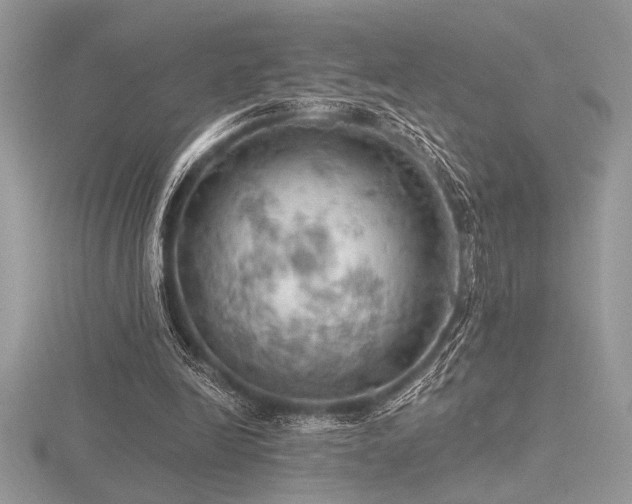 X0000116490246200912091426