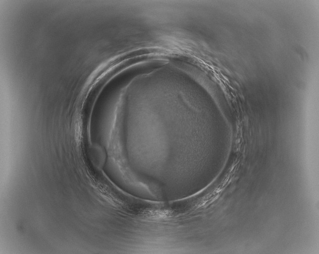 X0000116490247200912091426