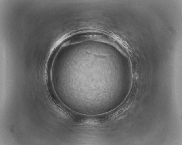 X0000116490248200912091426