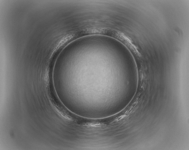 X0000116490250200912091426