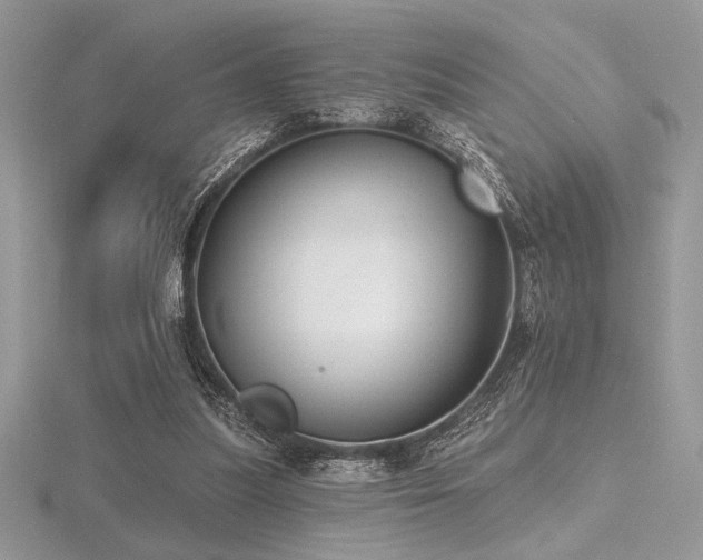 X0000116490251200912091426