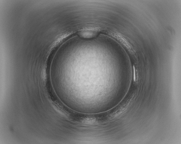 X0000116490252200912091426