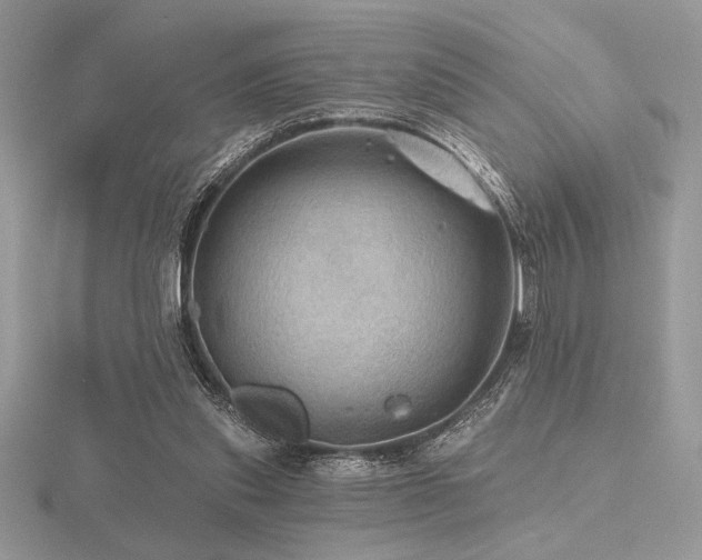 X0000116490253200912091426