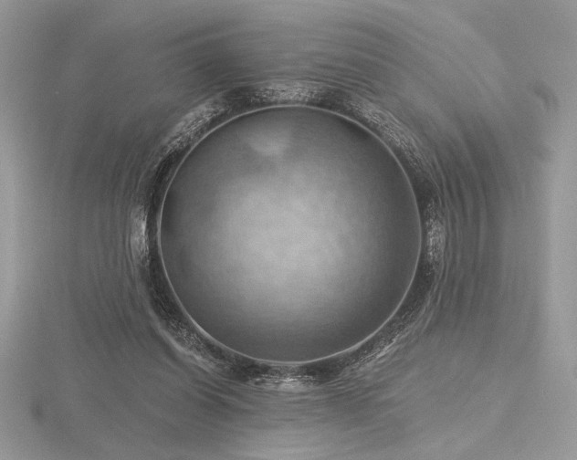 X0000116490254200912091426