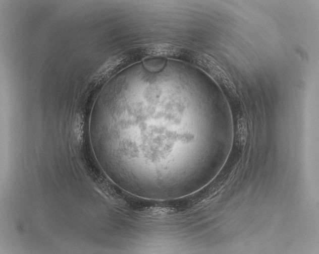 X0000116490255200912091426