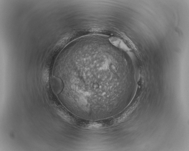 X0000116490257200912091426