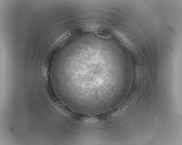 X0000116490258200912091426