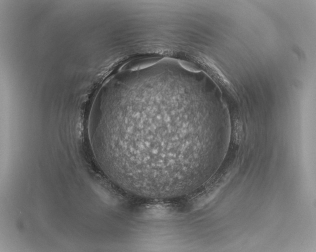 X0000116490259200912091426