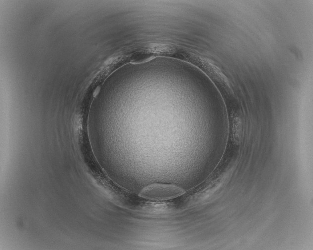 X0000116490260200912091426