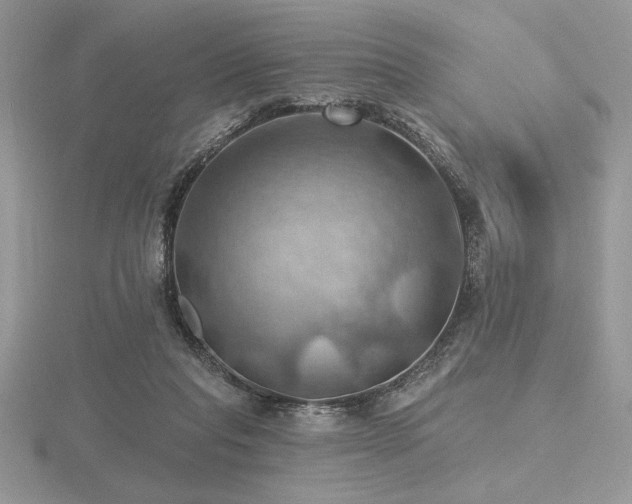 X0000116490261200912091426