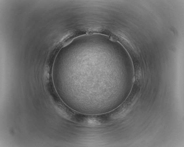 X0000116490264200912091426