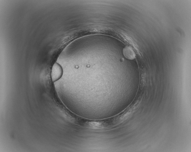 X0000116490265200912091426