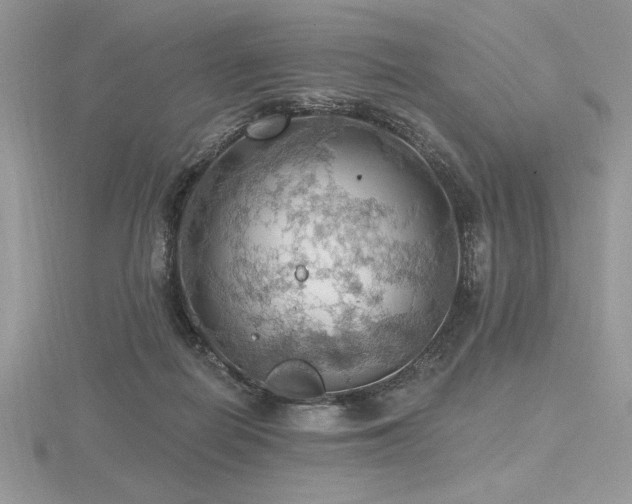 X0000116490266200912091426