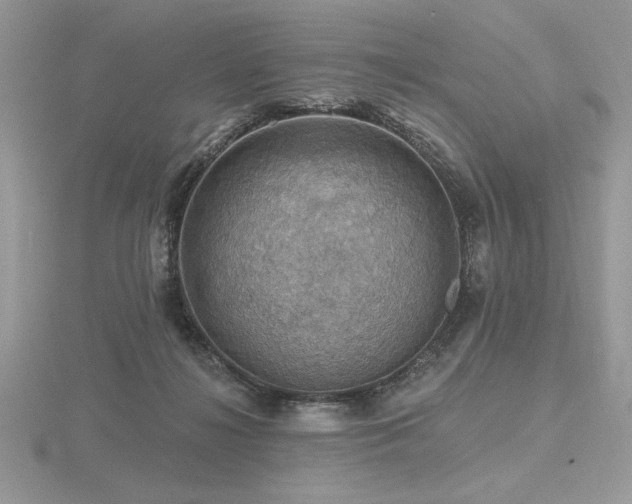 X0000116490268200912091426