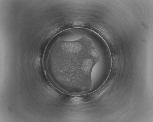 X0000116490269200912091426