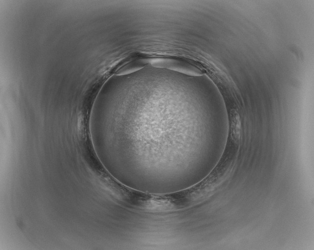 X0000116490270200912091426